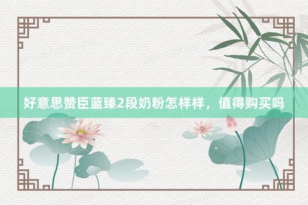 好意思赞臣蓝臻2段奶粉怎样样，值得购买吗